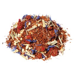 Rooibos Mirtillo e Zenzero