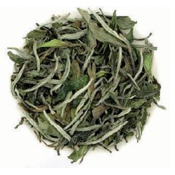 Bai Mu Dan Superior BIO (White Peony)