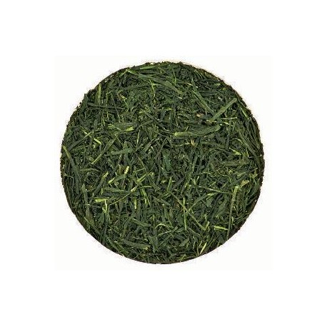 Sencha