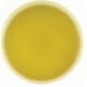 Sencha