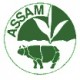 Assam Hatialli FTGFOP1 SF 