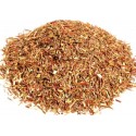 Rooibos verde BIO